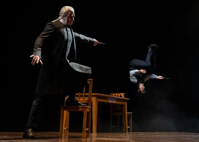 Harry Potter and the Cursed Child - 