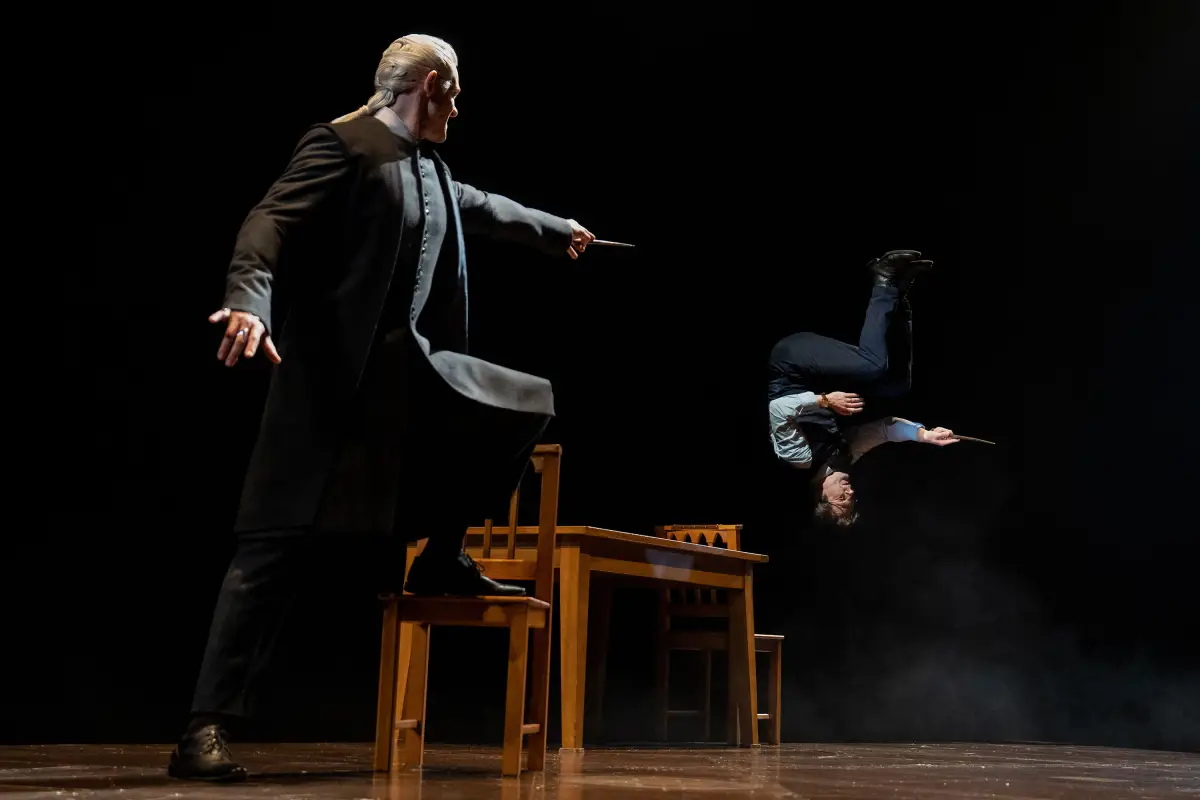 Harry Potter and the Cursed Child - 