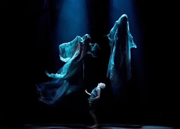 Harry Potter and the Cursed Child - 